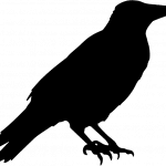 Pes: Má alergii na lepek? Jak mu pomoci 3 Pes: Má alergii na lepek? Jak mu pomoci