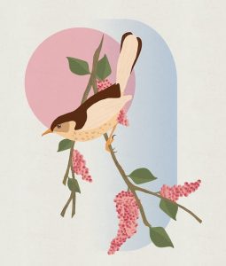 Uniferm droždí a lepek: Jak to může vadit alergikům?