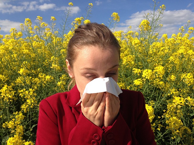 Informace o alergenech a možnostech kombinace s jinými dezerty