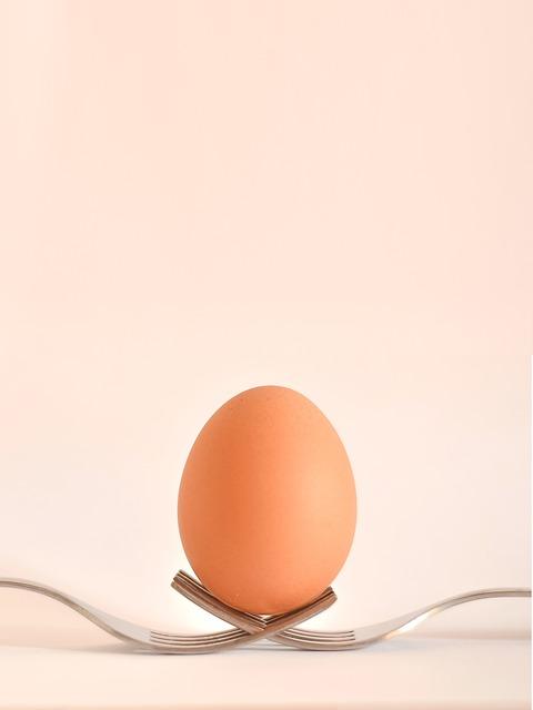 1. Definice a význam vejce ve vztahu k lepku pro zdraví