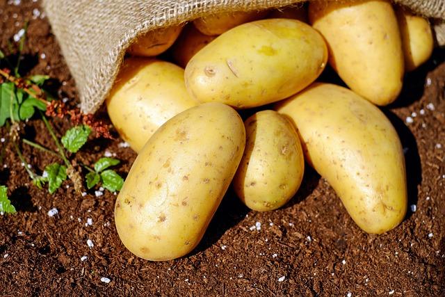 Způsoby zpracování brambor pro bezlepkové knedlíky: Tipy a triky od profesionálů