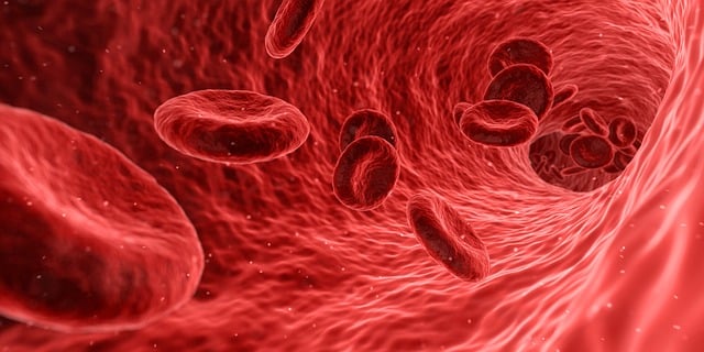 Krev‌ ve stolici u celiakie: Možné příčiny a rizikové faktory