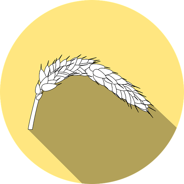 Celiakie Vyšetření: Kde a jak lze provést‍ testování⁤ na celiakii v‍ České republice?