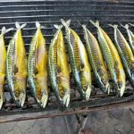 Radčina kuchařka bez lepku: Kuchařka pro alergiky