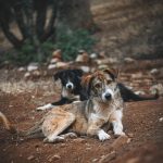 Můj život bez lepku: Inspirujte se mým příběhem